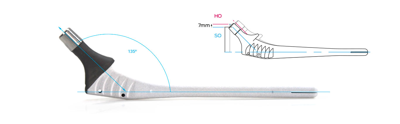 NEW KAREY REVISION STEMS