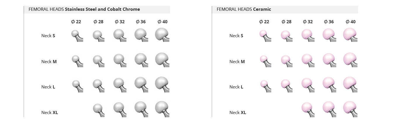 SURGIVAL FEMORAL HEAD SIZES