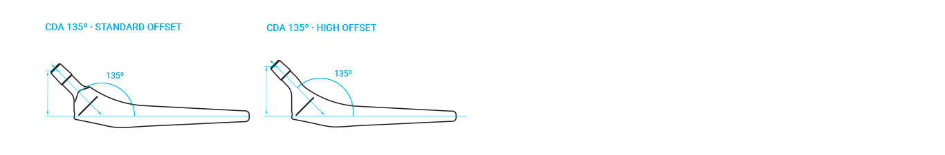 SURGIVAL-KAREY-STEM-CEMENTED- KAREY C ACD Y OFFSET