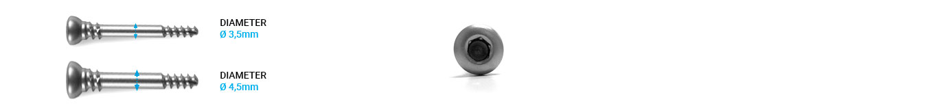 SURGIVAL-LNS-GT-NAIL-DISTAL-SCREW