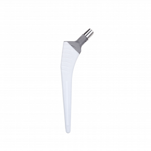 KAREY HA NO COLLAR STANDARD OFFSET