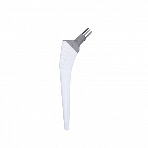 KAREY HA NO COLLAR STANDARD OFFSET