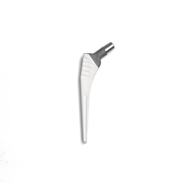 KAREY HA NO COLLAR STANDARD OFFSET - COXA VARA